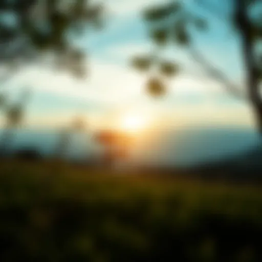 A serene landscape symbolizing calmness amidst chaos