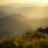 Tranquil Landscape Symbolizing Growth A serene landscape representing tranquility and personal growth