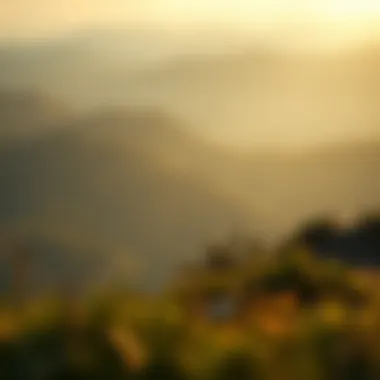 Tranquil Landscape Symbolizing Growth A serene landscape representing tranquility and personal growth