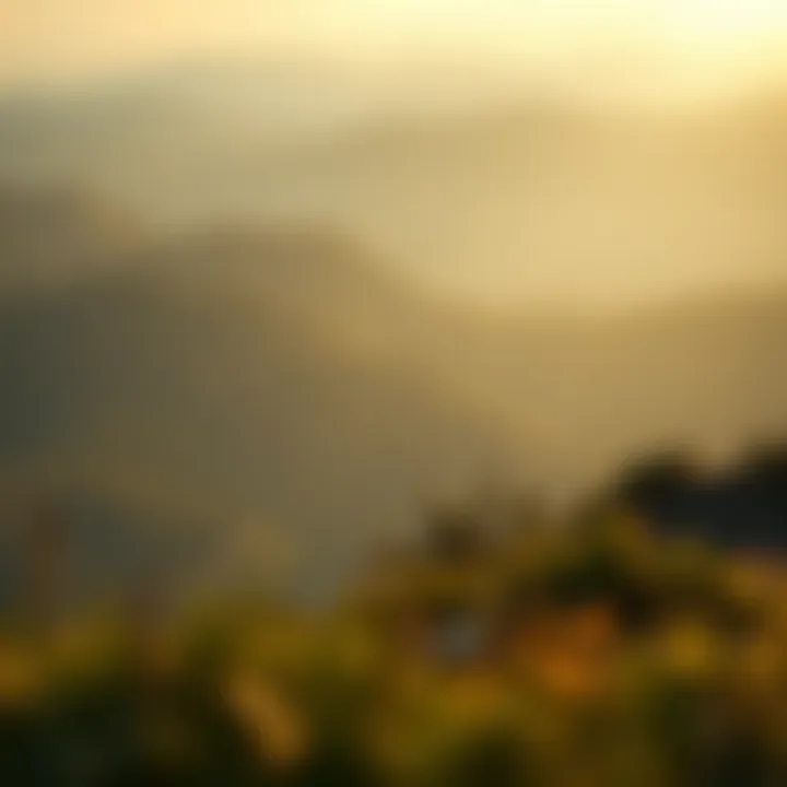 Tranquil Landscape Symbolizing Growth A serene landscape representing tranquility and personal growth