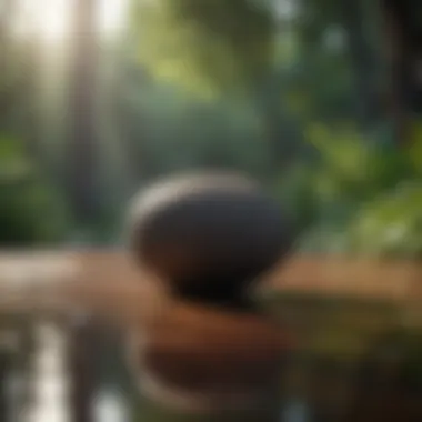 Mindfulness as a Tool for Morning Clarity An individual practicing mindfulness in a calm setting