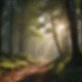 A serene morning landscape with sunlight filtering through trees