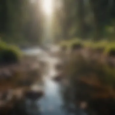 Finding Clarity Through Nature A serene landscape illustrating clarity and focus