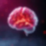 Visual representation of the brain under stress