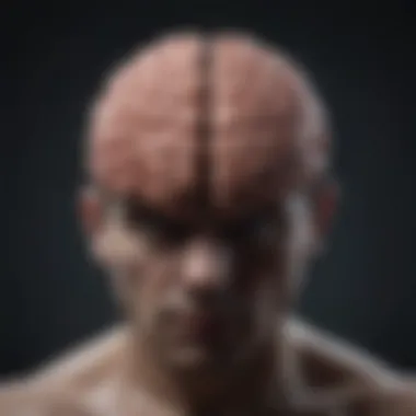 Brain Functionality in Fear and Anxiety Visual representation of the brain highlighting fear and anxiety areas