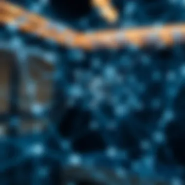 A visual representation of a complex network structure