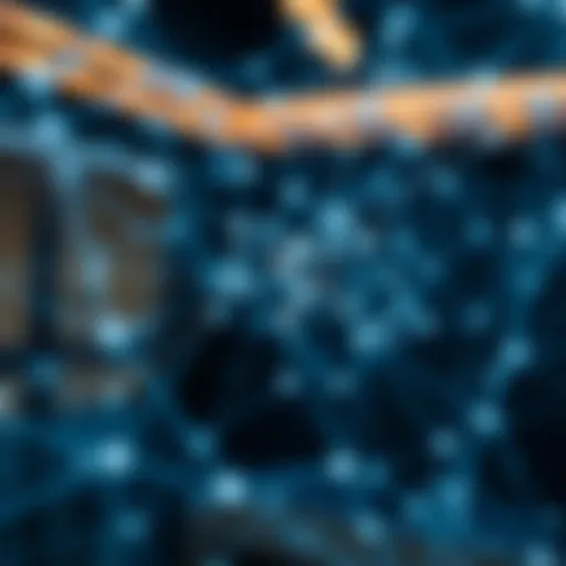 A visual representation of a complex network structure