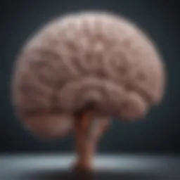 An illustration depicting the brain's response to stress