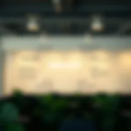 Illustration of SMART goals framework components