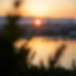 A serene sunrise representing a fresh start amidst work-related stress.