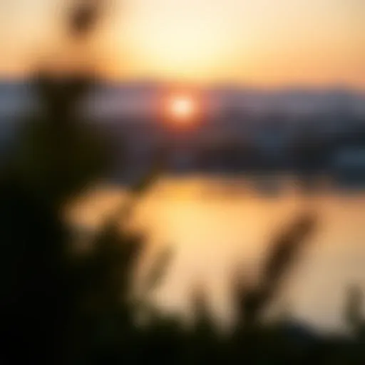 A serene sunrise representing a fresh start amidst work-related stress.
