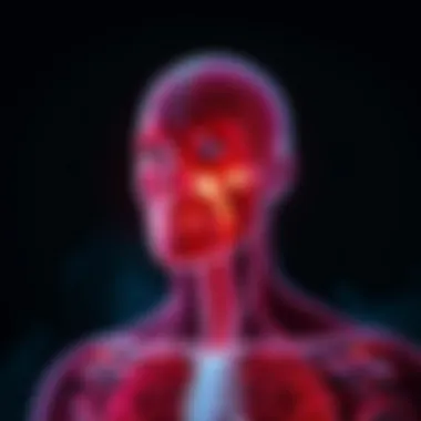 Understanding the Body: The Physiology of Stress A visual representation of stress responses in the body.