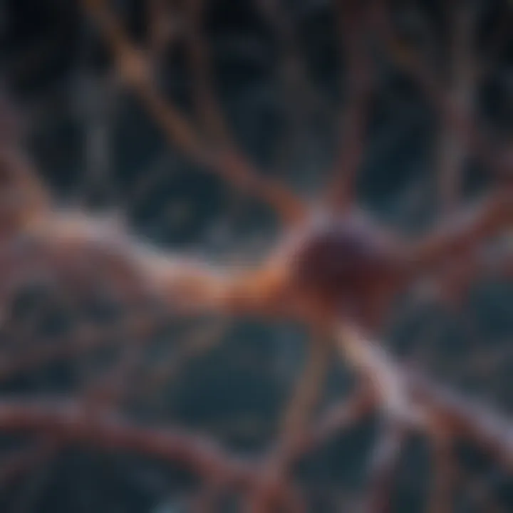 Abstract depiction of neural connections