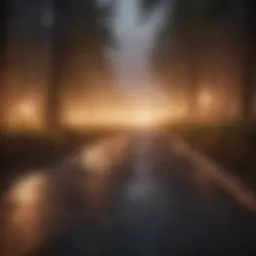 Illuminating the Path to Success